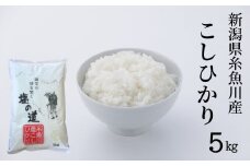 令和6年産新米 新潟県糸魚川産コシヒカリ『塩の道』5kg お米マイスター 厳選 美味しいお米をお届けします! 令和6年産 牧江米店【米 お米 白米 こめ コメ ご飯 ライス ふるさと納税米 ブランド米 こしひかり 新潟県 糸魚川 2024年 食品 人気 おすすめ 5キロ 2024】