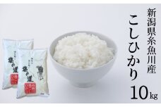 令和6年産新米 新潟県糸魚川産コシヒカリ『塩の道』10kg お米マイスター 厳選 美味しいお米をお届けします! 令和6年産 牧江米店【米 お米 白米 こめ コメ ご飯 ライス ふるさと納税米 ブランド米 こしひかり 新潟県 糸魚川 2024年 食品 人気 おすすめ 10キロ 2024】