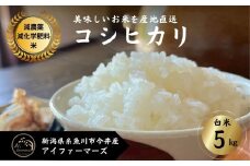 【令和6年産新米予約】米 コシヒカリ 白米 5kg 新潟県 糸魚川市産 減農薬 減化学肥料米 安心 安全 美味しいお米 新潟米 今井産 アイファーマーズ 今摺り米 精米【こしひかり おにぎり お弁当 におすすめ お米 おこめ コメ ご飯 ライス ふるさと納税米 ブランド米 令和6年産 2024年 5キロ】