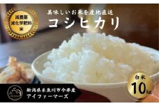 【令和6年産新米予約】米 コシヒカリ 白米 10kg 新潟県 糸魚川市産 減農薬 減化学肥料米 安心 安全 美味しいお米 新潟米 今井産 アイファーマーズ 今摺り米 精米【こしひかり おにぎり お弁当 におすすめ お米 おこめ コメ ご飯 ライス ふるさと納税米 ブランド米 令和6年産　2024年 10キロ】
