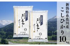 令和6年産新米予約 新潟県糸魚川産コシヒカリ 10kg（5kg×2袋） 名水と翡翠の郷 2024年産 堀敬商事【米 お米 白米 こめ コメ ご飯 精米 ライス ブランド米 こしひかり 新潟県 糸魚川 2024 米どころ新潟 食品 人気 おすすめ 10キロ】