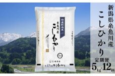 令和6年産新米予約【定期便】新潟県糸魚川産コシヒカリ 5kg×12ヶ月 計60kg 名水と翡翠の郷 2024年産 堀敬商事【米 お米 白米 こめ コメ ご飯 精米 ライス ブランド米 こしひかり 新潟県 糸魚川 2024 米どころ新潟 食品 人気 おすすめ 5キロ 12回 12か月 毎月お届け】