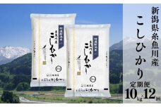 令和6年産新米予約【定期便】新潟県糸魚川産コシヒカリ 10kg×12ヶ月 計120kg 名水と翡翠の郷 2024年産 堀敬商事【米 お米 白米 こめ コメ ご飯 精米 ライス ブランド米 こしひかり 新潟県 糸魚川 2024 米どころ新潟 食品 人気 おすすめ 10キロ 12回 12か月 毎月お届け】