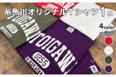 【選べるカラー･サイズ】糸魚川オリジナル『いといがわ大学』Ｔシャツ 1枚 半袖（XS･S･M･L･XLサイズ）コットン【ITOIGAWA大学 新潟県 糸魚川市 ヒスイ 衣類 おしゃれ シンプル いまいスポーツ ティーシャツ メンズ レディース キッズ アカ シロ アーミーグリーン パープル】