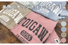 【選べるカラー･サイズ】糸魚川オリジナル『いといがわ大学』Ｔシャツ 1枚 半袖（XS･S･M･L･XLサイズ）オーガニックコットン100%【スモーキーカラー ITOIGAWA大学 新潟県 糸魚川市 ヒスイ 衣類 おしゃれ シンプル いまいスポーツ ティーシャツ メンズ レディース キッズ ミルキーグレー アシッドブルー シャロウグリーン ダスティピンク】