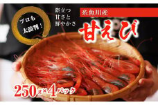 【プロも太鼓判！】糸魚川産『甘エビ』1kg（250g×4ﾊﾟｯｸ）約70尾 際立つ甘さと鮮やかさ 鮮度抜群 日本海直送 新潟 あまえび 甘えび 南蛮エビ お刺身 瞬間 冷凍 新鮮