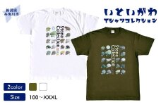 地域限定オリジナル Tシャツ『いとT』-Stone Collection- いといがわTシャツコレクション 男女兼用 綿100% メンズ レディース キッズ ファッション トップス スポーツ用品 新潟県 糸魚川市