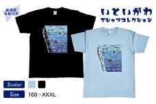地域限定オリジナル Tシャツ『いとT』-魚図鑑- いといがわTシャツコレクション 男女兼用 綿100% メンズ レディース キッズ ファッション トップス スポーツ用品 新潟県 糸魚川市