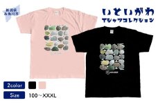 地域限定オリジナル Tシャツ『いとT』-石の標本- いといがわTシャツコレクション 男女兼用 綿100% メンズ レディース キッズ ファッション トップス スポーツ用品 新潟県 糸魚川市