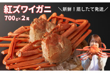 9月後半出荷 日本海直送 紅ズワイガニ Ｌサイズ（700g前後）2尾 ベニズワイガニ 蟹 蒸し蟹 天下の険親不知からお届けします 姿 新鮮 姿 冷蔵 日本海 新潟 糸魚川