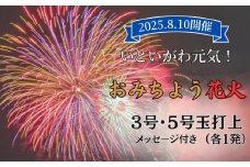 いといがわ元気！おみちよう花火2025 3号・5号 各1発打上 メッセージ花火 はがき・写真付き【2025年8月10日開催】全国ライブ配信 新潟県 糸魚川市 期間限定 ふるさと納税 いといがわ 花火 Instagram インスタ 八川屋商店