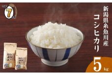 【2025年11月発送】令和7年産 新米予約 新潟県 糸魚川産 コシヒカリ 5kg 2025年産 農家直送 お米の配達人「香り・つや・甘み・粘りが優れたお米です」【米 お米 白米 こめ コメ ご飯 ライス ふるさと納税米 ブランド米 こしひかり 新潟県 糸魚川 食品 人気 おすすめ 5キロ 選べる配送月 先行予約】