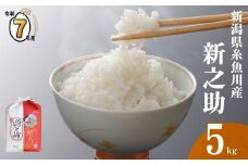 【2025年10月下旬発送】令和7年産新米予約 新潟県 糸魚川産 『新之助』5kg 2025年産 農家直送 お米の配達人【しんのすけ 米 お米 白米 こめ コメ ご飯 ライス ふるさと納税米 ブランド米 新潟県 糸魚川 食品 人気 おすすめ 5キロ 選べる配送月 先行予約】
