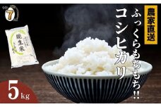 【2026年4月発送】令和7年産新米予約 新潟県産コシヒカリ『能生米』5kg 農家直送 米・食味鑑定士お墨付き 2025年産 あぐ里能生 能生米【新潟県 糸魚川市 米 お米 こめ コメ ご飯 ライス ふるさと納税米 ブランド米 おすすめ ギフト 5キロ 精米 白米 人気 食品 選べる配送月 先行予約】