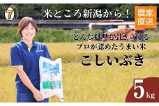 【2025年11月発送】令和7年産新米予約 プロが認めたうまい米『こしいぶき』5kg 新潟県糸魚川産 農家直送 2025年産 あぐ里能生【新潟県 糸魚川市 米 お米 こめ コメ ご飯 ライス ふるさと納税米 ブランド米 おすすめ ギフト 5キロ 精米 白米 人気 食品 選べる配送月 先行予約】