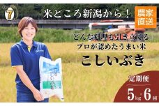 【2026年3月初回発送】令和7年産新米予約【定期便】プロが認めたうまい米『こしいぶき』5kg×6回 計30kg 新潟県糸魚川産 農家直送 2025年産 あぐ里能生【米 お米 こめ コメ ご飯 ライス ふるさと納税米 ブランド米 おすすめ ギフト 5キロ 精米 白米 6ヶ月 6か月 6回 毎月お届け 選べる配送月 先行予約】