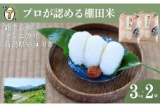 【2026年5月発送】令和7年産新米予約 新潟県能生谷産コシヒカリ 6kg（3kg×2袋）プロも認める棚田米 農家直送 2025年産 JATs有限会社【新潟県 糸魚川市 米 お米 こめ コメ ご飯 ライス ふるさと納税米 ブランド米 おすすめ ギフト 6キロ（3キロ×2袋）精米 白米 人気 食品 選べる配送月 先行予約】
