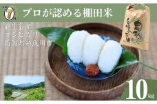 【2026年5月発送】令和7年産新米予約 新潟県能生谷産コシヒカリ 10kg プロも認める棚田米 農家直送 2025年産 JATs有限会社【新潟県 糸魚川市 米 お米 こめ コメ ご飯 ライス ふるさと納税米 ブランド米 おすすめ ギフト 10キロ 精米 白米 人気 食品 選べる配送月 先行予約】