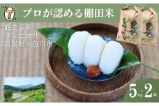 【2026年4月発送】令和7年産新米予約 新潟県能生谷産コシヒカリ 5kg×2袋 計10kg プロも認める棚田米 農家直送 2025年産 JATs有限会社【新潟県 糸魚川市 米 お米 こめ コメ ご飯 ライス ふるさと納税米 ブランド米 おすすめ ギフト 10キロ 精米 白米 人気 食品 選べる配送月 先行予約】