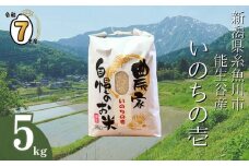【2025年11月発送】令和7年産新米予約 新潟県能生谷産『いのちの壱』5kg（白米）棚田米 農家直送 2025年産 JATs有限会社【新潟県 糸魚川市 米 お米 こめ コメ ご飯 ライス ふるさと納税米 ブランド米 おすすめ ギフト 5キロ 精米 白米 人気 食品 選べる配送月 先行予約】