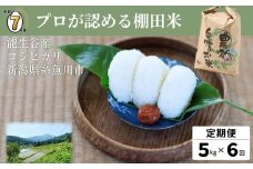 【2025年10月初回発送】令和7年産新米予約【定期便】新潟県能生谷産コシヒカリ 5kg×6ヶ月 計30kg プロも認める棚田米 農家直送 2025年産 JATs有限会社【新潟県能生谷産 農家直送 米 お米 ご飯 ライス ふるさと納税米 食品 人気 おすすめ こしひかり ギフト 5キロ 毎月配送 精米 白米 人気 精米 6回 6か月 先行予約】