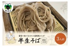 半生そば（3人前）つゆ付