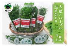 大葉とハーブの詰め合わせセット【新潟県妙高市】
