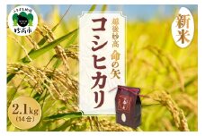 【先行予約】令和7年産 越後妙高命の矢 コシヒカリ 2.1kg