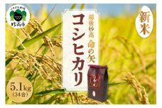 【先行予約】令和7年産 越後妙高命の矢 コシヒカリ 5.1kg