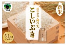 【先行予約】令和7年産 越後妙高命の矢 こしいぶき 5.1kg