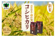 【先行予約】令和7年産 越後妙高命の矢 コシヒカリ 10.2kg