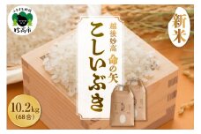 【先行予約】令和7年産 越後妙高命の矢 こしいぶき 10.2kg