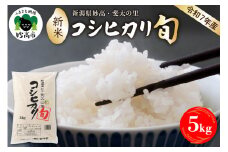 【2025年10月中旬発送】【令和7年産米】新潟県妙高産斐太の里コシヒカリ「旬」5kg