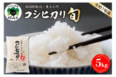 【2026年4月中旬発送】【令和7年産米】新潟県妙高産斐太の里コシヒカリ「旬」5kg