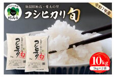 【2026年4月中旬発送】【令和7年産米】新潟県妙高産斐太の里コシヒカリ「旬」10kg(5kg×2袋)