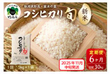 【2025年11月中旬発送】【定期便】令和7年産新潟県妙高産斐太の里コシヒカリ「旬」5kg×6回（計30kg）