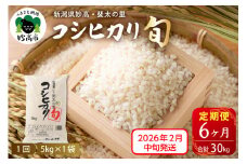 【2026年2月中旬発送】【定期便】令和7年産新潟県妙高産斐太の里コシヒカリ「旬」5kg×6回（計30kg）
