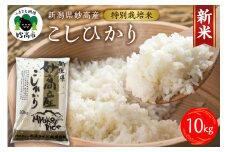 【令和7年産】妙高産こしひかり特別栽培米10kg