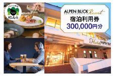 アルペンブリックリゾート宿泊利用券300,000円分