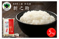 【2025年10月中旬発送】令和7年産　新潟県上越妙高産新之助5kg