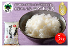 令和7年産 新潟県 妙高やしろ米 コシヒカリ 5kg 【11月中旬より発送】 お米 米 コメ 精米 新潟 妙高市 米どころ こめ ご飯 ごはん ライス 弁当