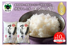 令和7年産 新潟県 妙高やしろ米 コシヒカリ10kg(5㎏×2袋) 【11月中旬より発送】 お米 米 コメ 精米 新潟 妙高市 米どころ こめ ご飯 ごはん ライス 弁当