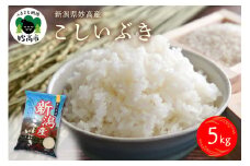 令和6年産　新潟県妙高産こしいぶき5kg