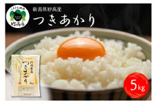 令和6年産　新潟県妙高産つきあかり5kg