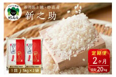 【2026年3月下旬発送】【定期便】令和7年産新潟県上越・妙高産新之助10kg×2回（計20kg）