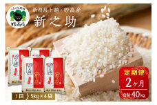 【2025年10月上旬発送】【定期便】令和7年産新潟県上越・妙高産新之助20kg×2回（計40kg）
