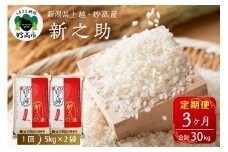 【2025年10月中旬発送】【定期便】令和7年産 新潟県上越・妙高産新之助10kg(5kg×2袋)×3回（計30kg）