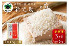 【2026年3月上旬発送】【定期便】令和7年産 新潟県上越・妙高産新之助2kg×3回（計6kg）