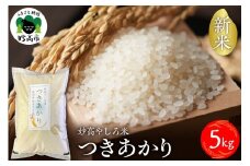 令和7年産 新潟県 妙高やしろ米 つきあかり 5kg【10月中旬より発送】 お米 米 コメ 精米 新潟 妙高市 米どころ こめ ご飯 ごはん ライス 弁当 おにぎり