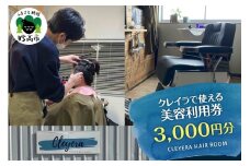 クレイラで使える美容利用券　3,000円分